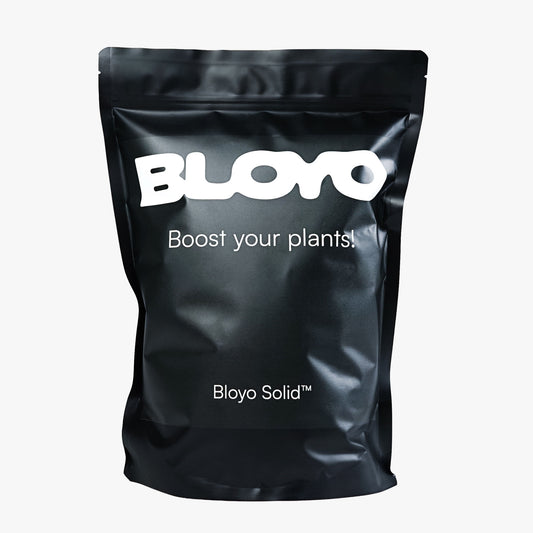 Bloyo Solid™